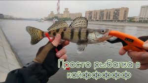 РЫБАЛКА тест приманок!