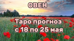 ОВЕН 💕 таро прогноз с 18 по 25 мая! #таро #любовь #раскладтаро