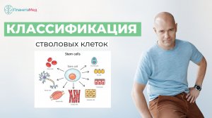 Прямой эфир на тему: Классификация стволовых клеток