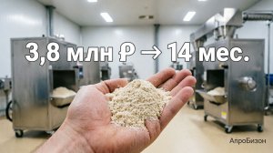 Производство овощных порошков и гранул: бизнес 2026 | АгроБизон