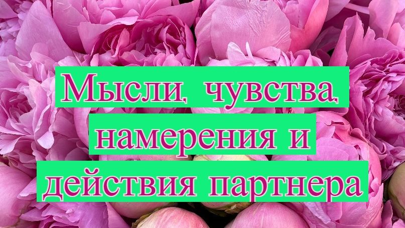 Расклад Таро. Мысли, чувства, намерения и действия партнера.