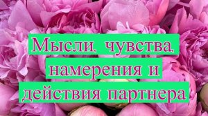 Расклад Таро. Мысли, чувства, намерения и действия партнера.
