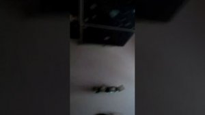планы на сегодняшний ночной стрим