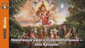 Наводящий ужас и очаровательный - это Кришна! Бхима - Бхакти Викаша Свами (Веллуру, Индия)