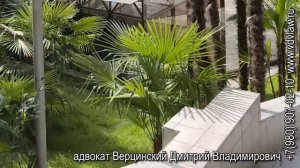 VID_20260511_203651