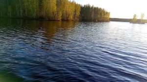 Рефтинское, Молорефтинское .Разведка перед рыбалкой.