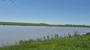 ХОРОШО ИМЕТЬ ЛИЧНОГО ВОДИТЕЛЯ...КУПАЛЬНЫЙ СЕЗОН ОТКРЫТ 🤣