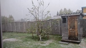 Погода за окном. 12.05.26.