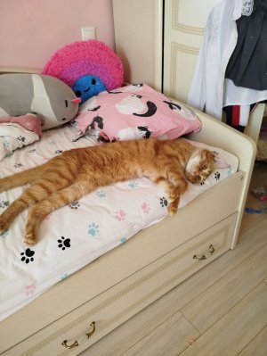 у нас прошла дистанционка