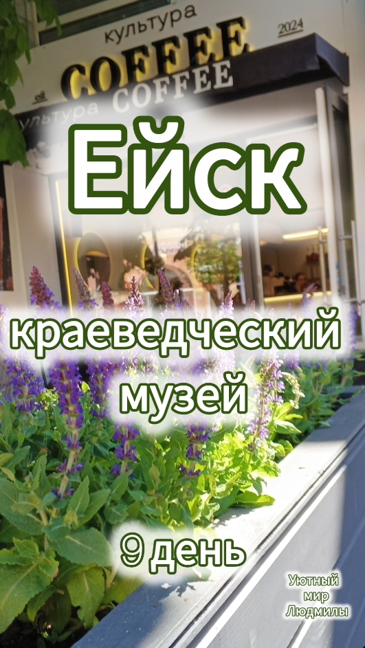 Ейск 9 день (12 мая 2026) краеведческий музей