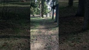 🐿️ нововяске район парке 04.05.2026 год.