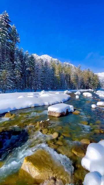 Красота