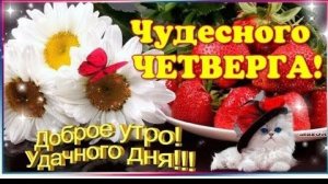 ДОБРОГО   УТРА  ЧЕТВЕРГА