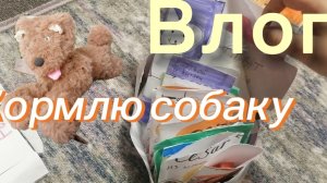первое видео 🙀 кормлю собаку влог