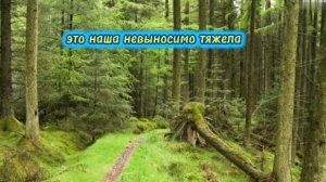 Урок мудрости:«Почему нельзя брать груз вчерашнего дня в завтрашний день?»