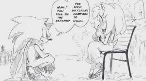 A Fateful Reunion (Sonamy Comic Dub)  [ ScruffiBerri ]
