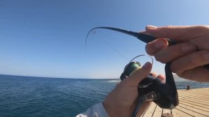 Рыбы РАЗГИБАЮТ застежки!!! Рыбалка в Египте, Красное море
