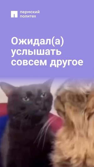 Когда ожидал(а) услышать совсем другое