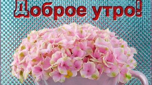 Среда. Мой завтрак диабетика