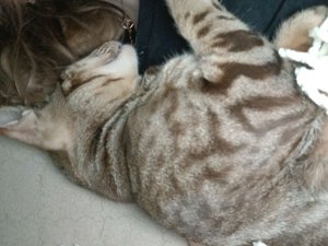 милана