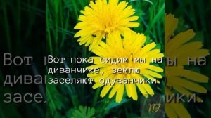Доброе утро.mp4