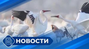 Новости 19.00 от 13.05.26