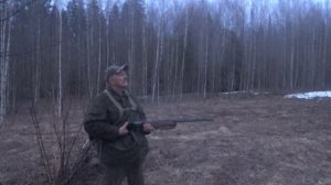 Охота на вальдшнепа 01.05.2026г.