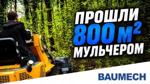 Прошли 800 м² мульчером BAUMECH