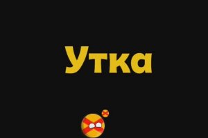 Заставка (это не тот проект про который я вам говорил)