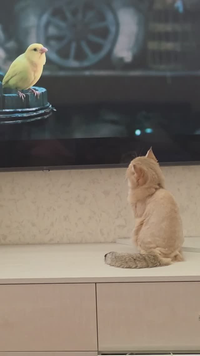 Смотрим сказку...🤗 смотреть онлайн