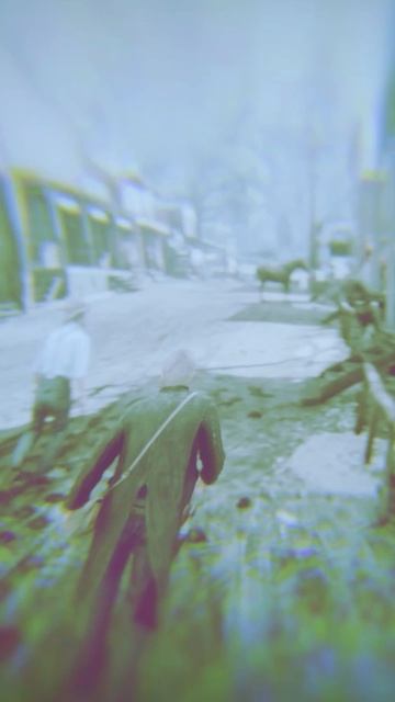 Пьяное ограбление в RDR 2