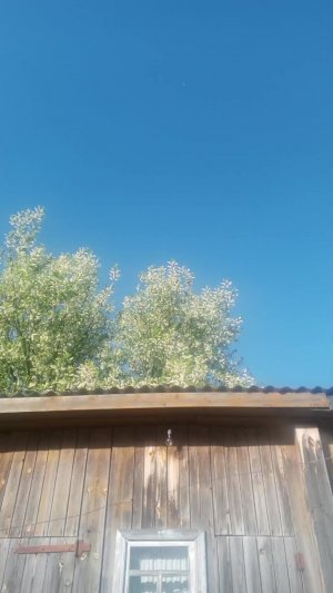 ку