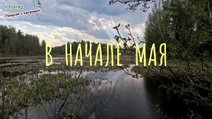 В начале мая