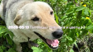 2026-05-13 Питомцы - Девушка и цветы ;-)
