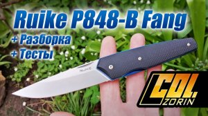 Ruike P848-B Fang