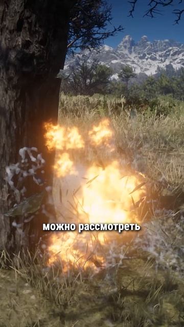 Детали оружия в RDR 2