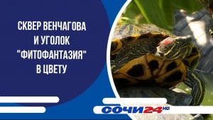 Сквер Венчагова и уголок «Фитофантазия» в цвету