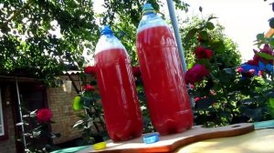 Малиновый квас. Домашний рецепт.