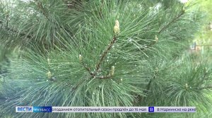 Смертельное ДТП, майский снегопад и холод в квартирах: сводка происшествий по Кузбассу