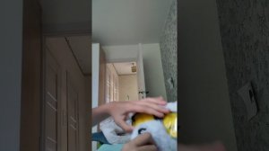 Плюшивые мишки