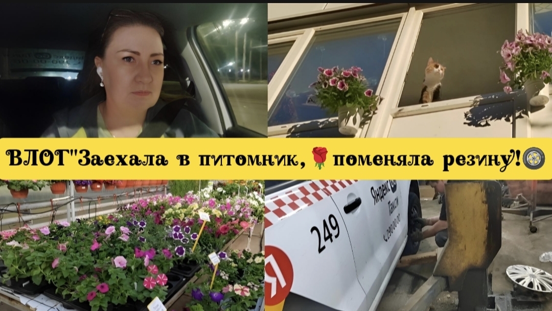 ВЛОГ "Заехала в питомник 🌹,поменяла резину 🛞!)😊❤