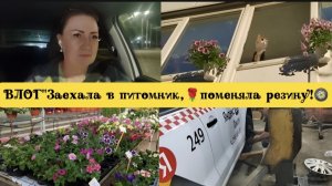ВЛОГ «Заехала в питомник 🌹,поменяла резину 🛞!)😊❤