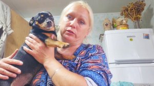 РОССИЯ,ОТВЕЧУ НА ВОПРОС,ХРОНИКА ДНЯ,