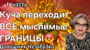 1 часть. Куча переходит все мыслимые ГРАНИЦЫ😡❗️