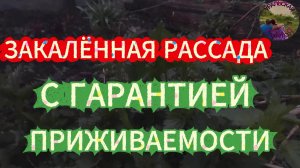 С работы в огород