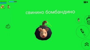 свинино бомбандино взрывается футаж 
(можно брать)