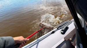 РАЗДАЧА: Стоило СЮДА приехать и понеслось, спиннинг весной