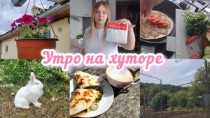 РАСПАКОВКА ИЗ 5КИ🛒ГОТОВЛЮ ЗАВТРАК 🌮ОБХОД ВЛАДЕНИЙ С ПЛЮШЕЙ 😀🐇