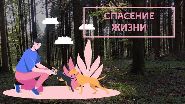 Разговор о важном смотреть онлайн