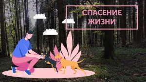 Разговор о важном